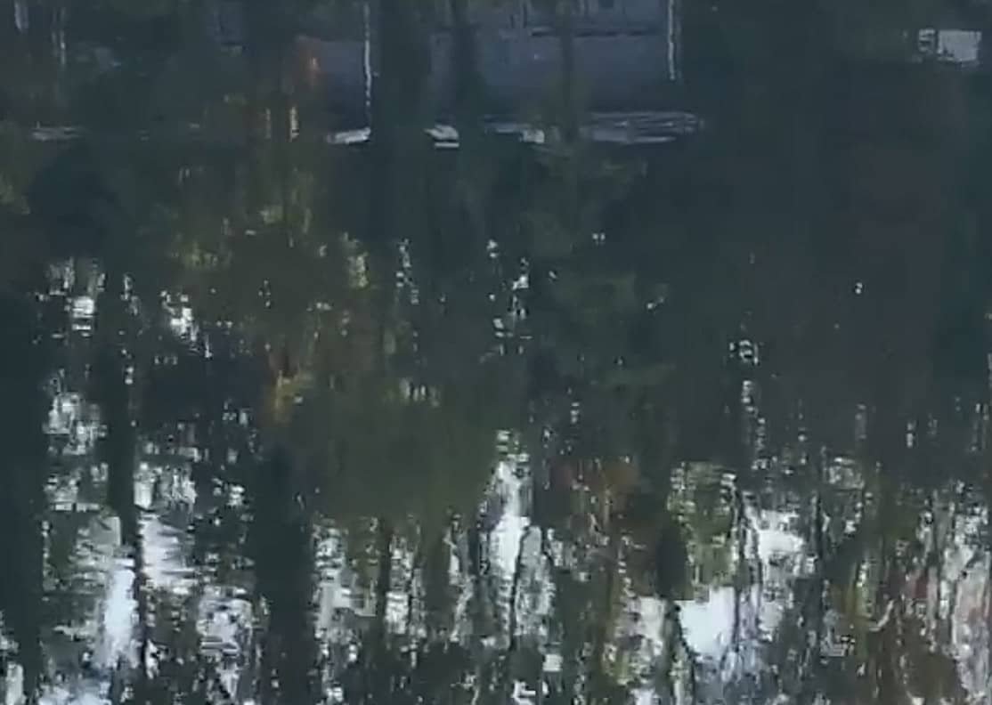 Erika Tamburini | Gesundheitspraxis | Ort der Begegnung