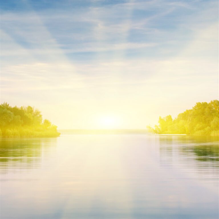 River and spring forest. Nature composition.